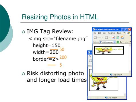 html insert image|how to resize an image in html.